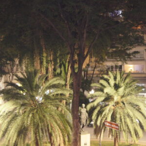 SONY DSC